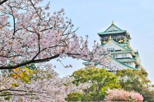 Read more about the article Se kirsebærtræerne blomstre i Kyoto